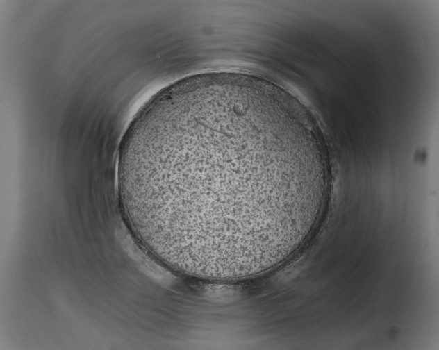 X0000115261275200911201657