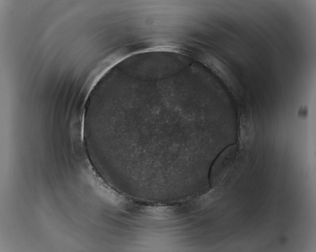 X0000115261276200911201657