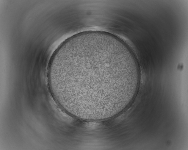 X0000115261278200911201657