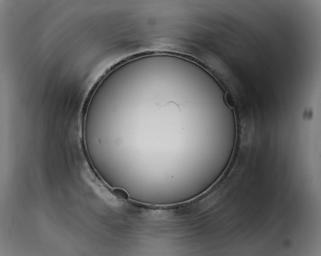 X0000115261280200911201657