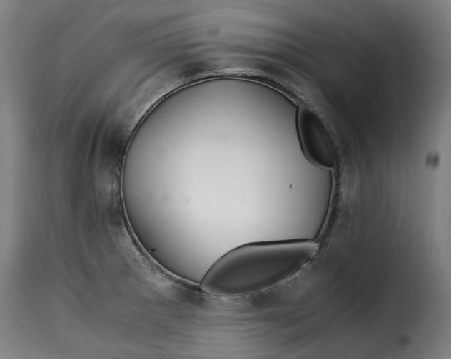X0000115261281200911201657