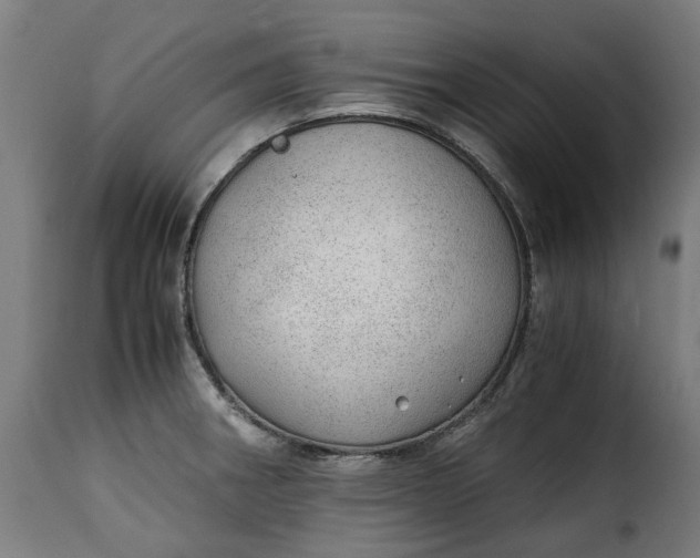 X0000115261282200911201657