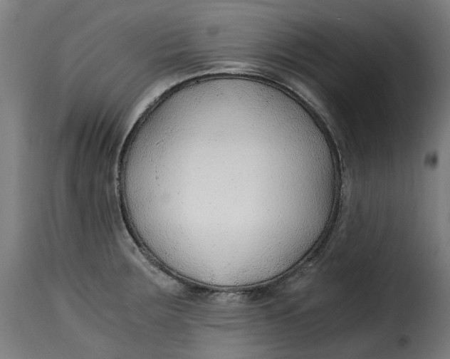 X0000115261283200911201657
