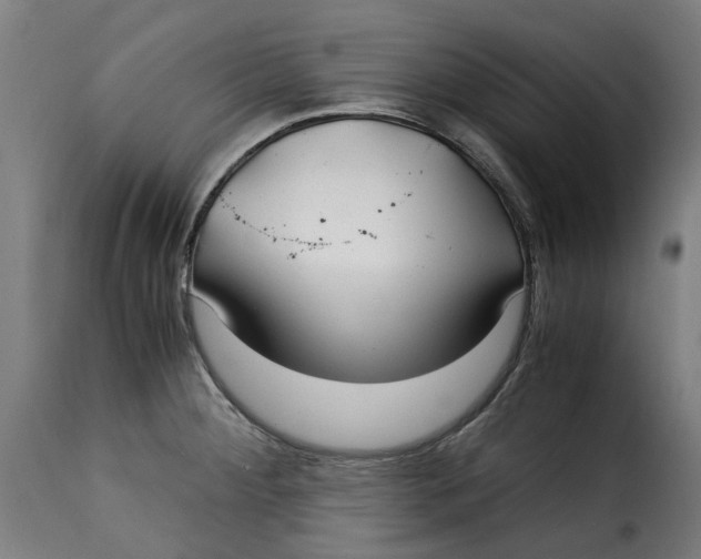 X0000115261284200911201657