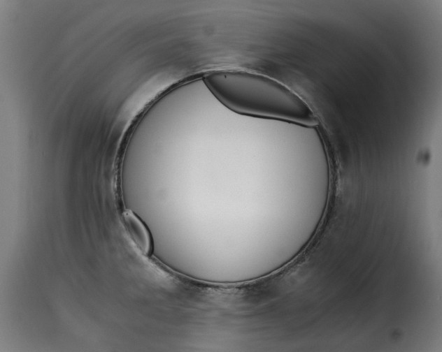 X0000115261285200911201657
