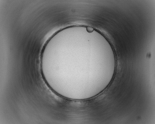 X0000115261286200911201657