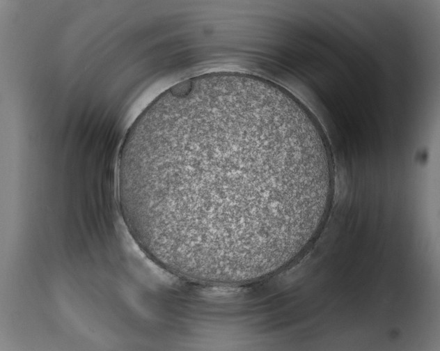 X0000115261290200911201656
