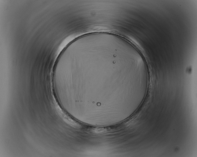 X0000115261291200911201656