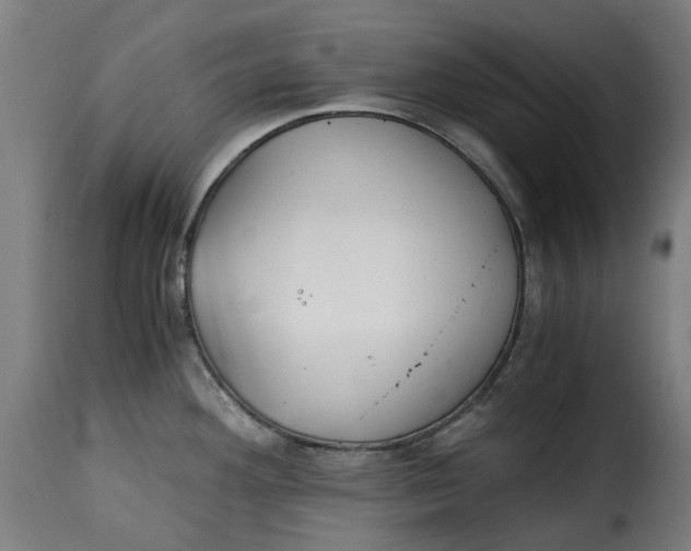 X0000115261292200911201656