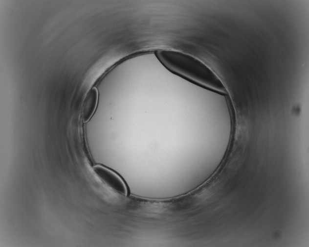 X0000115261293200911201656