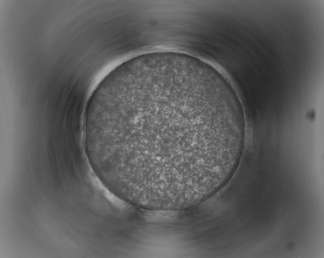 X0000115261294200911201656