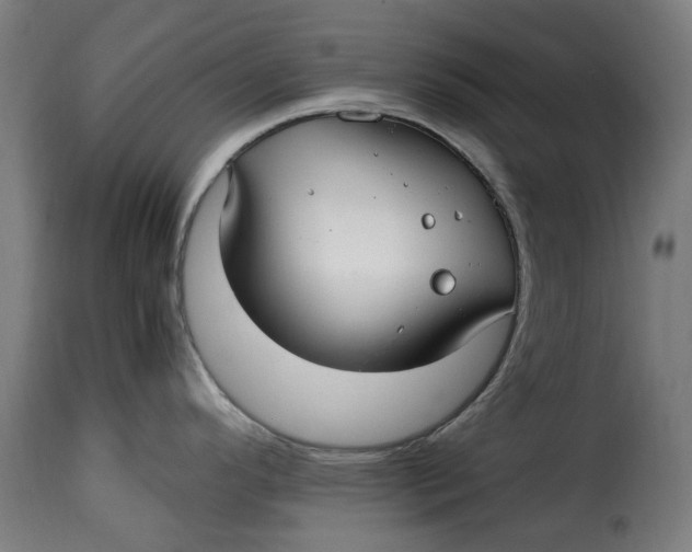 X0000115261296200911201656