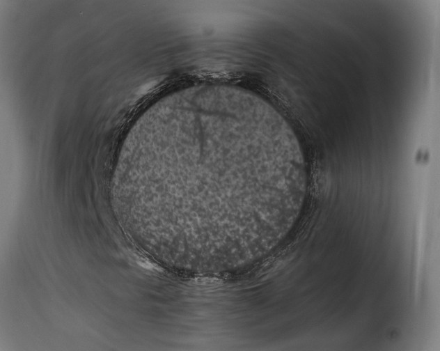 X0000115261297200911201656