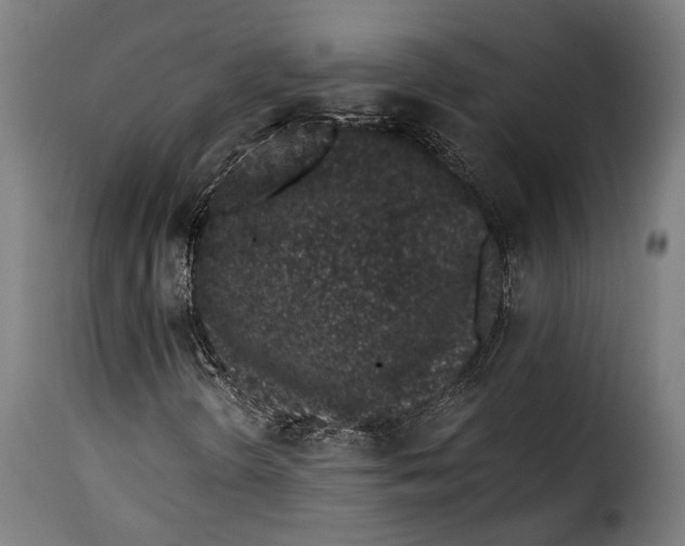 X0000115261298200911201656
