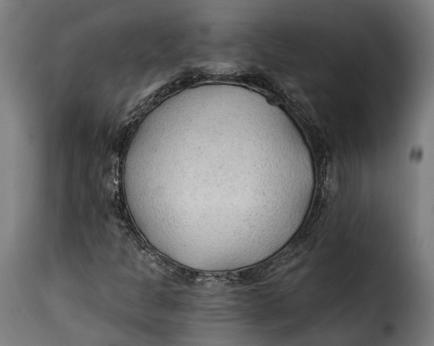 X0000115261301200911201656