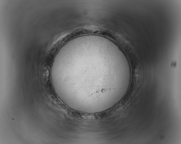 X0000115261302200911201656