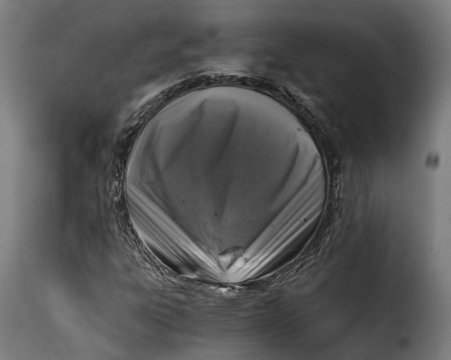 X0000115261303200911201656