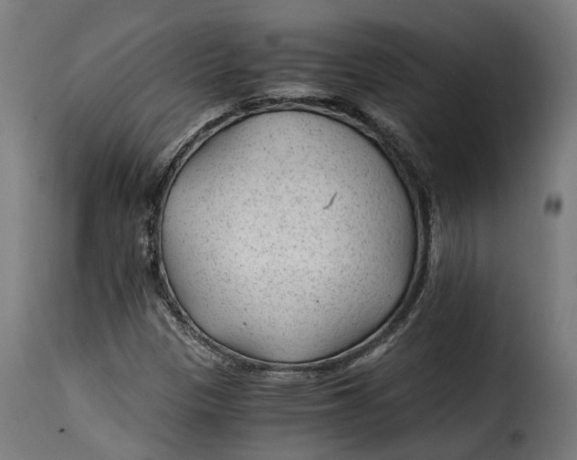 X0000115261305200911201656