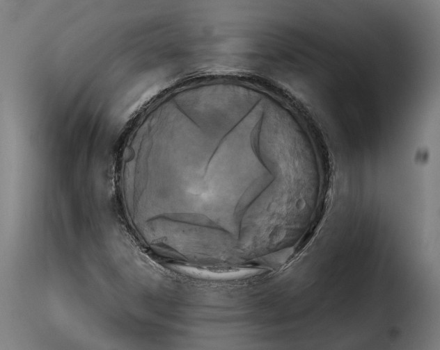 X0000115261306200911201656