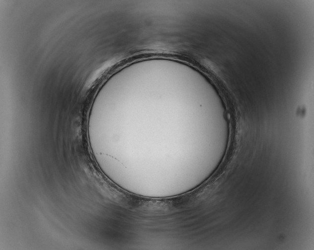 X0000115261307200911201656