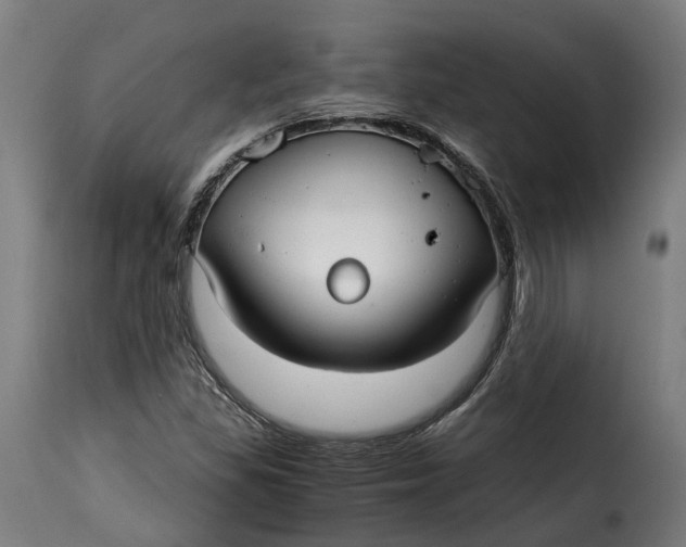 X0000115261309200911201656