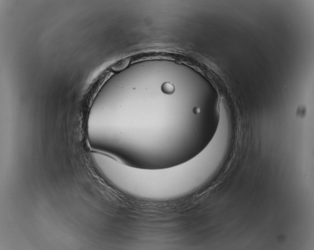 X0000115261310200911201656