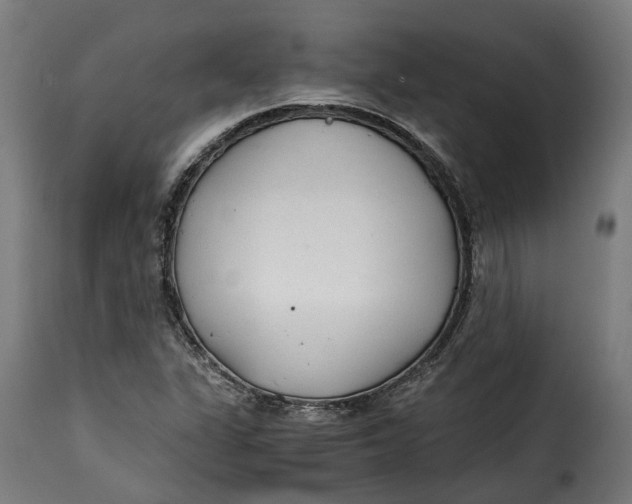 X0000115261311200911201656