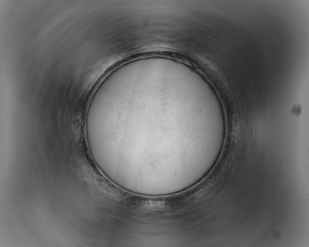 X0000115261313200911201656