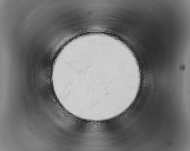 X0000115261314200911201656