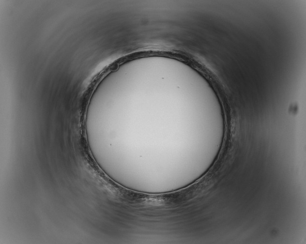 X0000115261315200911201656