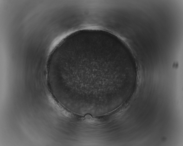 X0000115261319200911201656