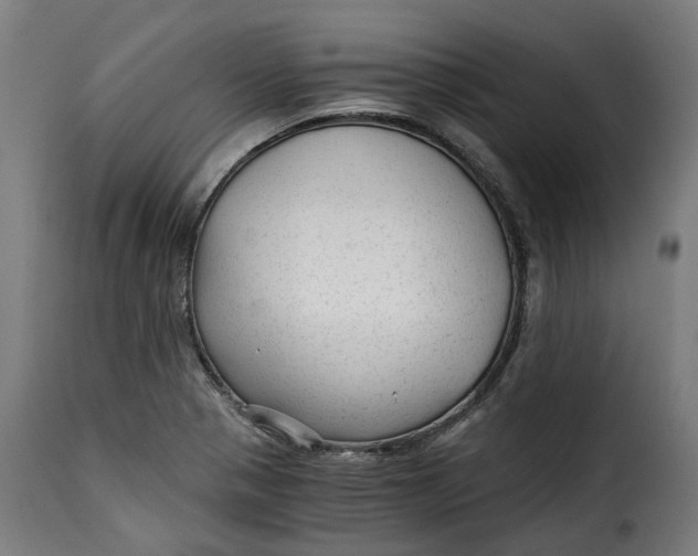 X0000115261321200911201656
