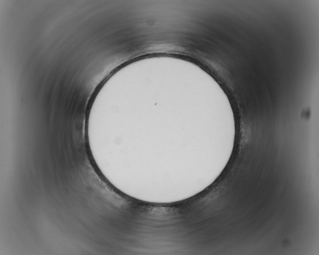 X0000115261322200911201656