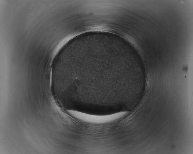 X0000115261323200911201656