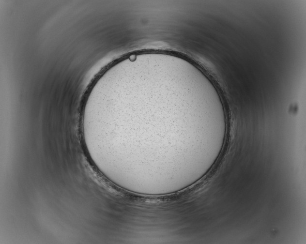 X0000115261326200911201656