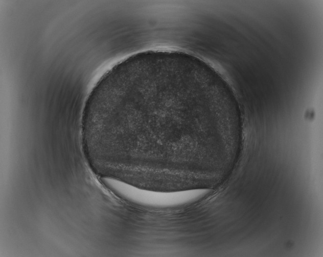 X0000115261327200911201656