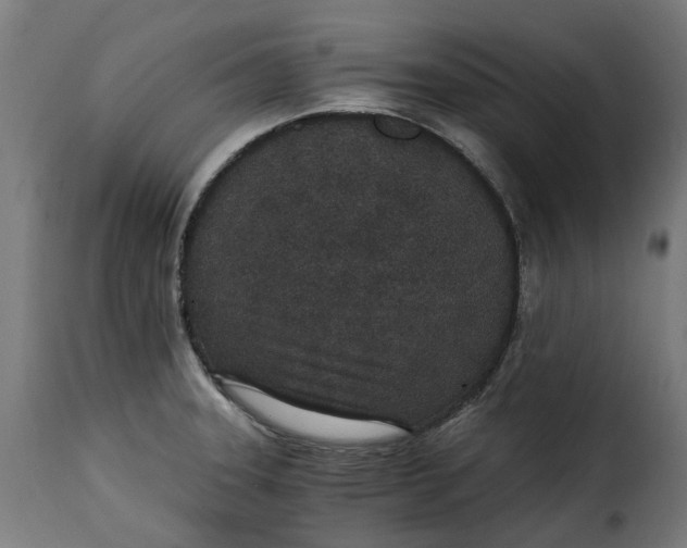 X0000115261331200911201656
