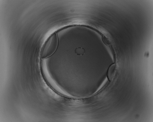 X0000115261334200911201656