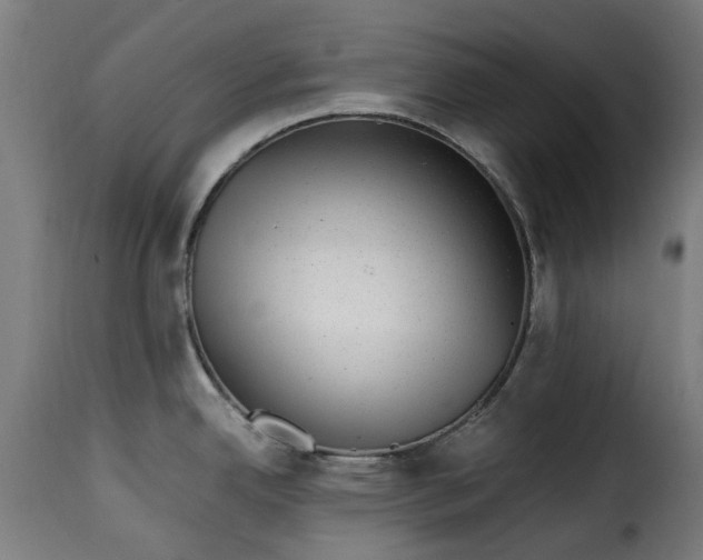 X0000115261342200911201656