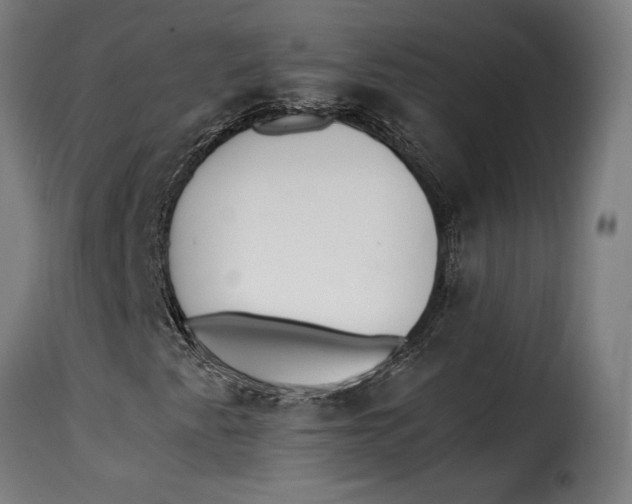 X0000115261345200911201656
