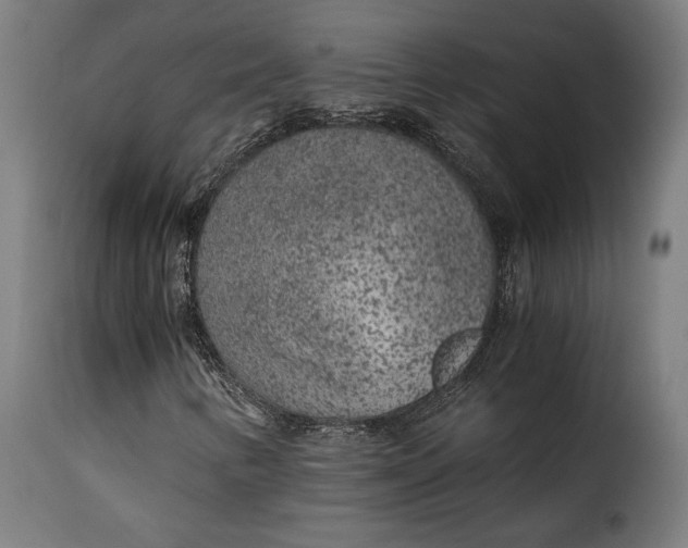 X0000115261346200911201656