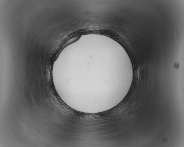 X0000115261348200911201656