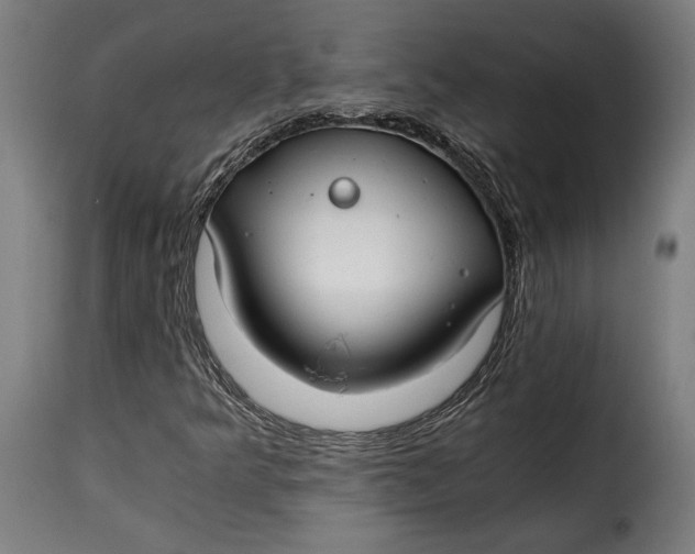 X0000115261349200911201656