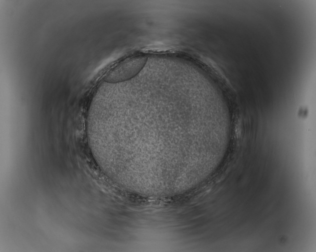 X0000115261350200911201656