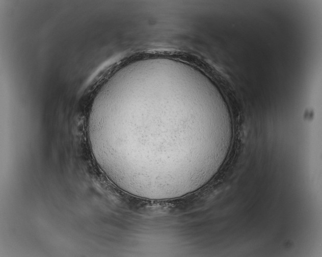 X0000115261351200911201656
