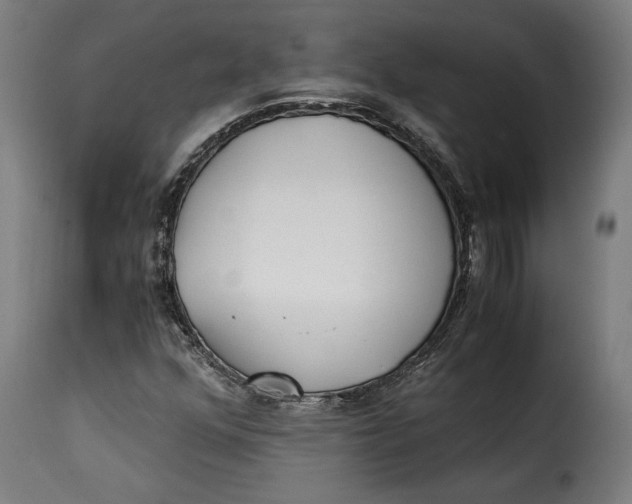 X0000115261352200911201656