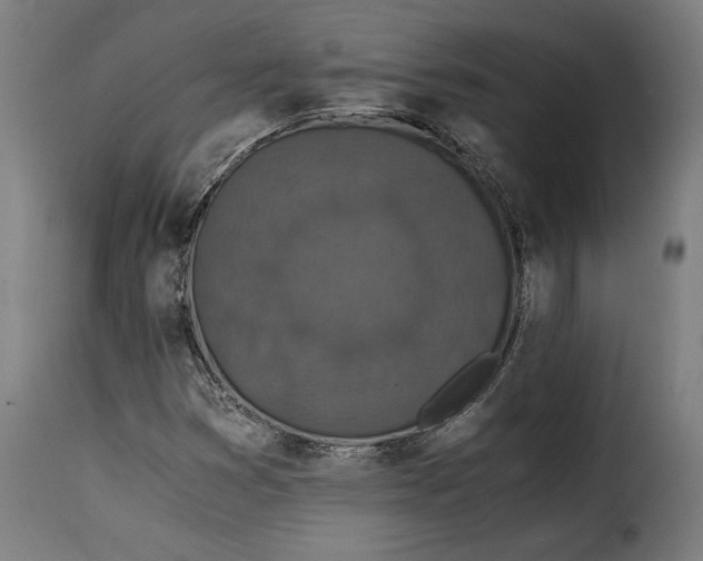 X0000115261353200911201656