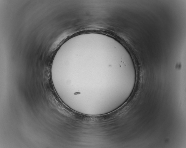 X0000115261355200911201656