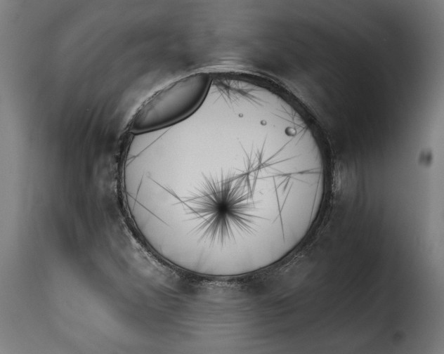 X0000115261356200911201656