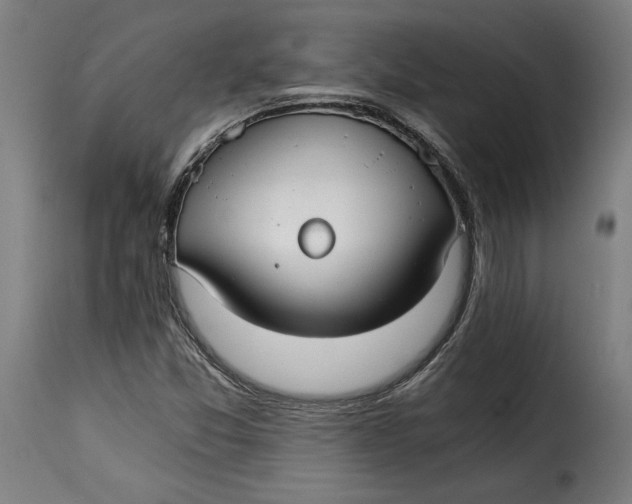 X0000115261357200911201656
